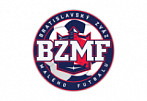 BZMF